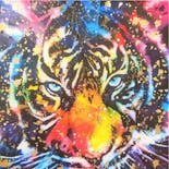 Rainbow Tiger (ポスター)